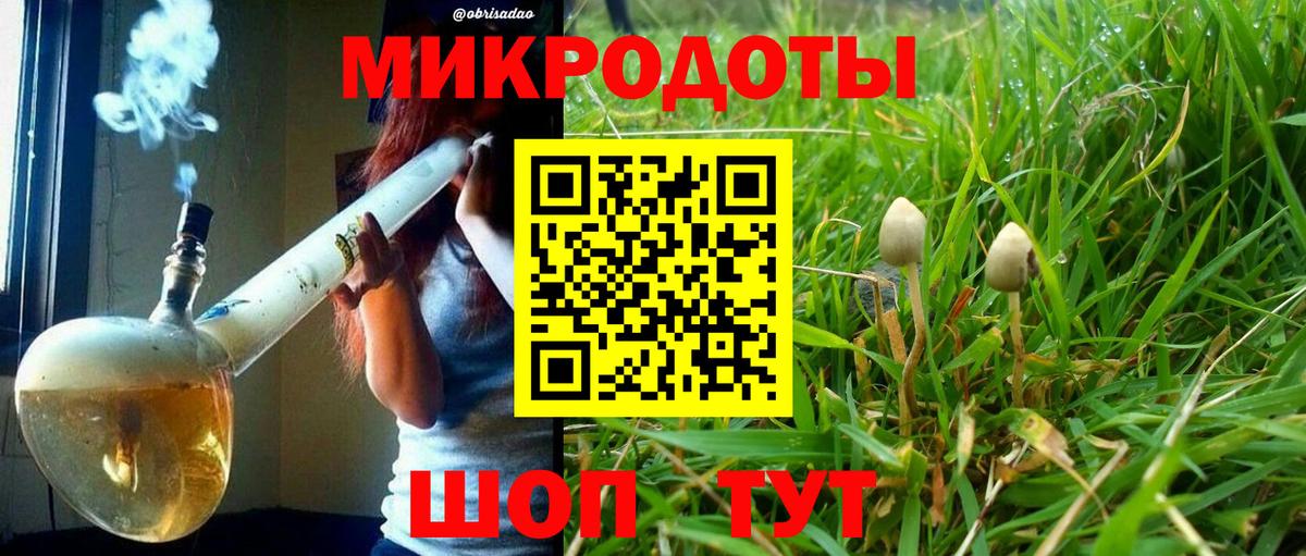 где купить наркоту  Вход с VPN  Кисловодск  Галлюциногенные грибы Psilocybine cubensis 